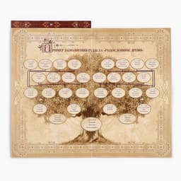 Родословная книга с рамкой под фото «Семейная книга», 50 листов, 21.5×23.7 см