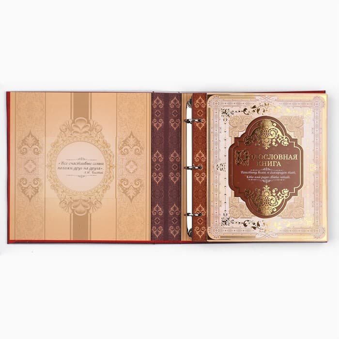 Родословная книга с рамкой под фото «Семейная книга», 50 листов, 21.5×23.7 см