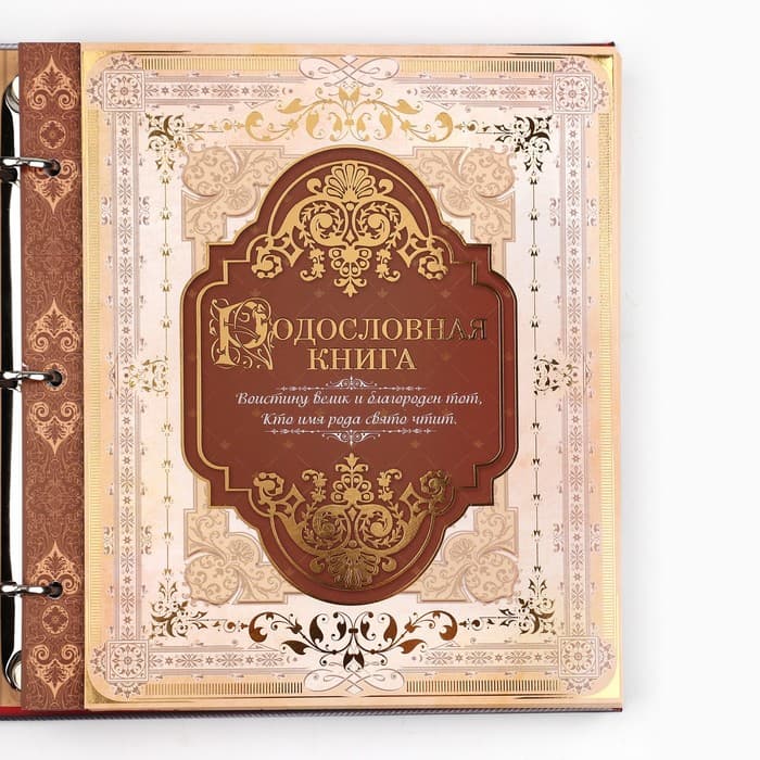 Родословная книга с рамкой под фото «Семейная книга», 50 листов, 21.5×23.7 см