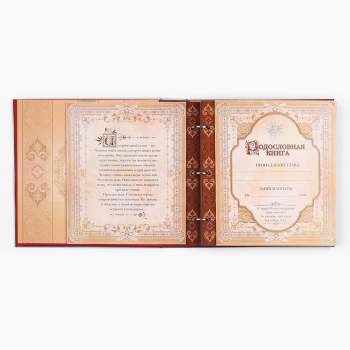 Родословная книга с рамкой под фото «Семейная книга», 50 листов, 21.5×23.7 см