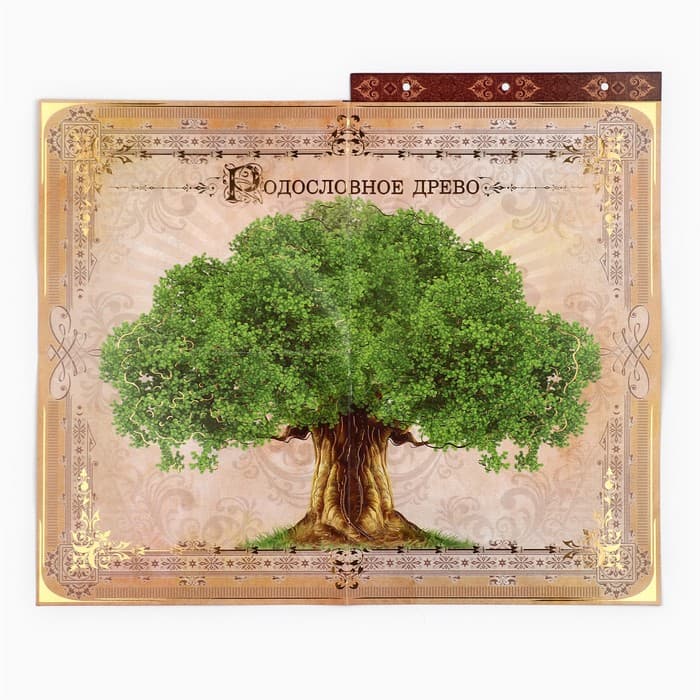 Родословная книга с рамкой под фото «Родословная книга», под дерево, 50 листов, 21.5×23.7 см