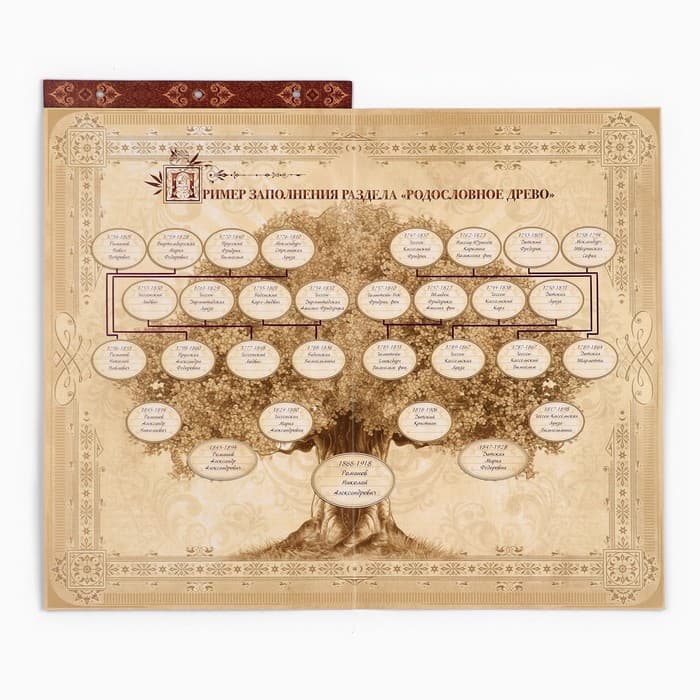 Родословная книга с рамкой под фото «Родословная книга», под дерево, 50 листов, 21.5×23.7 см