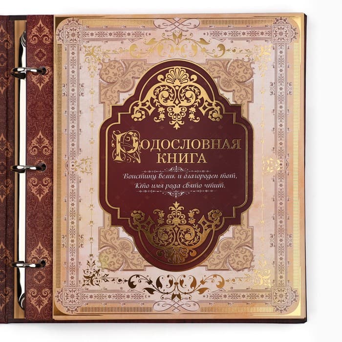Родословная книга с рамкой под фото «Родословная книга», под дерево, 50 листов, 21.5×23.7 см