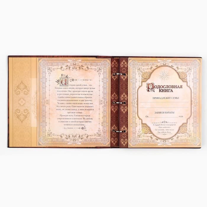 Родословная книга с рамкой под фото «Родословная книга», под дерево, 50 листов, 21.5×23.7 см