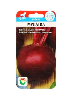 Семена Свекла "Мулатка", 2 г