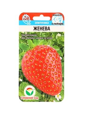 Семена Земляника «Женева», 10 шт., крупноплодная, «Сибирский сад»