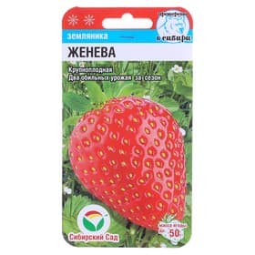 Семена Земляника «Женева», 10 шт., крупноплодная, «Сибирский сад»