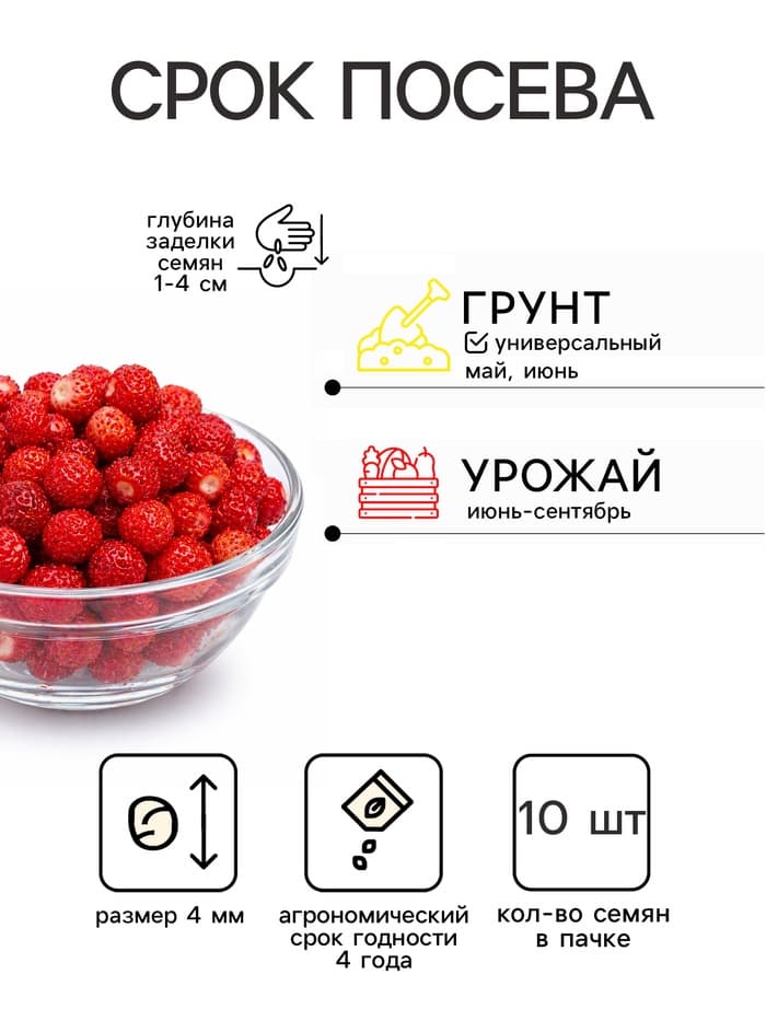 Семена Земляника «Королева Елизавета», 10 шт.