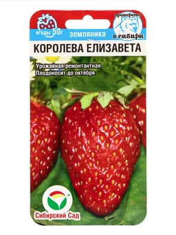 Семена Земляника «Королева Елизавета», 10 шт.