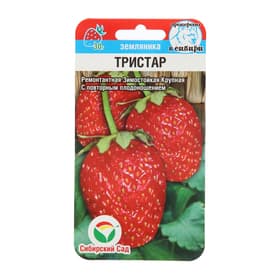 Семена Земляника ремонтантная «Тристар», 10 шт., «Сибирский сад»