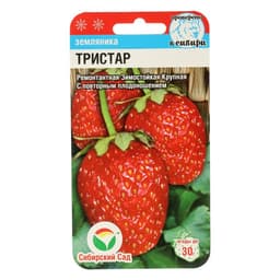 Семена Земляника ремонтантная «Тристар», 10 шт., «Сибирский сад»