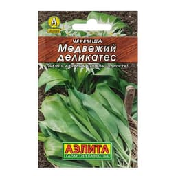Семена Черемша «Медвежий деликатес», 0.3 г