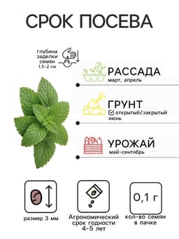 Семена Мелисса лекарственная «Жемчужина», 0.1 г, «Аэлита»