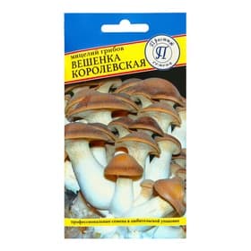 Мицелий грибов Вешенка «Королевская», 12 шт., «Престиж семена»