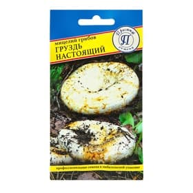 Мицелий грибов Груздь настоящий, 50 мл, «Престиж семена»