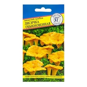 Мицелий грибов Лисичка обыкновенная, 50 мл, «Престиж семена»