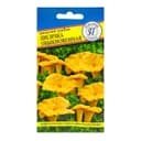 Мицелий грибов Лисичка обыкновенная, 50 мл, «Престиж семена»