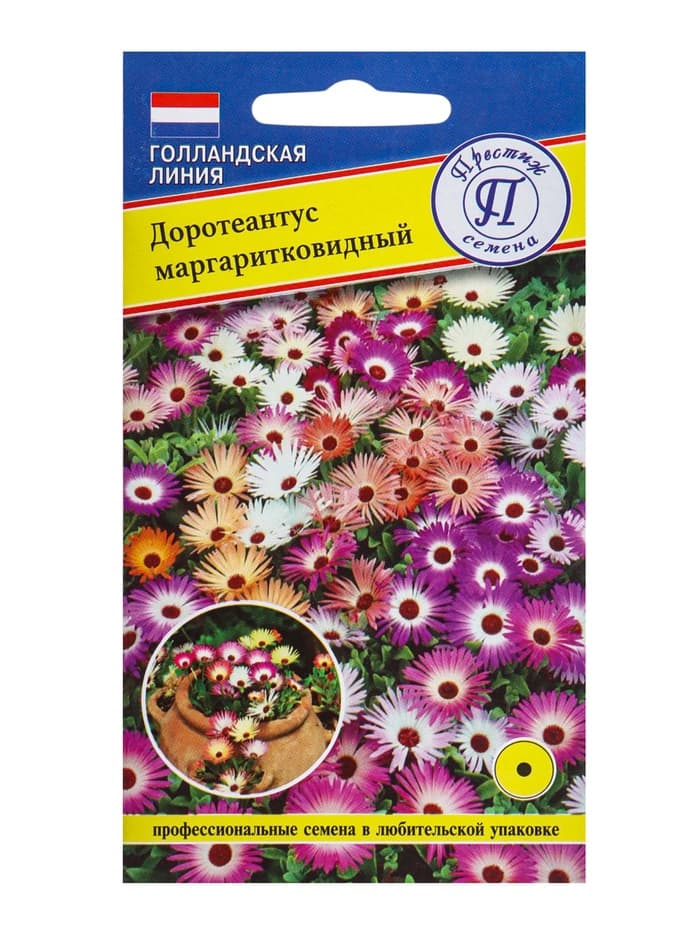 Семена цветов Доротеантус маргаритковый Смесь, О, 0,1 г