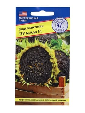 Семена Подсолнечник «ПР63 А90», F1, 15 шт., «Престиж семена»