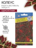 Семена цветов Колеус «Радуга - Фестиваль танца», F1, 10 шт., «Престиж семена»