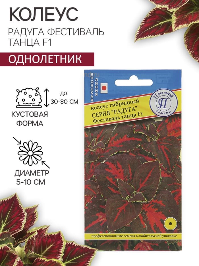 Семена цветов Колеус «Радуга - Фестиваль танца», F1, 10 шт., «Престиж семена»