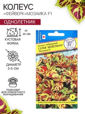 Семена цветов Колеус «Мозаика», F1, «Фейерверк», однолетник, 10 шт.