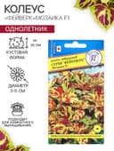 Семена цветов Колеус «Мозаика», F1, «Фейерверк», однолетник, 10 шт.