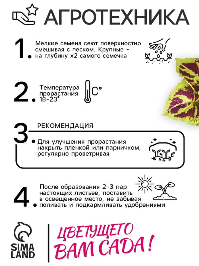 Семена цветов Колеус «Мозаика», F1, «Фейерверк», однолетник, 10 шт.