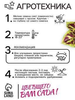 Семена цветов Колеус «Мозаика», F1, «Фейерверк», однолетник, 10 шт.