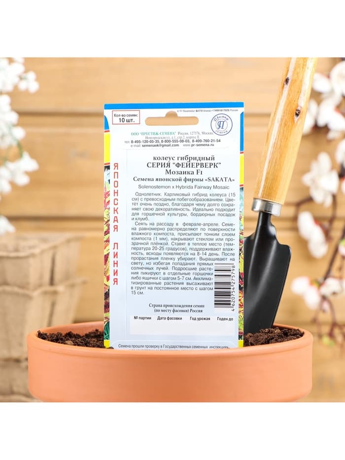 Семена цветов Колеус «Мозаика», F1, «Фейерверк», однолетник, 10 шт.