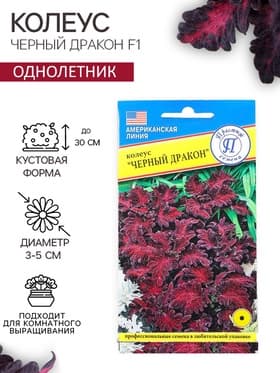 Семена цветов Колеус «Чёрный дракон» F1, 10 шт., однолетник, «Престиж семена»