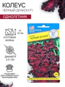 Семена цветов Колеус «Чёрный дракон» F1, 10 шт., однолетник, «Престиж семена»