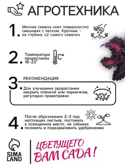 Семена цветов Колеус «Чёрный дракон» F1, 10 шт., однолетник, «Престиж семена»