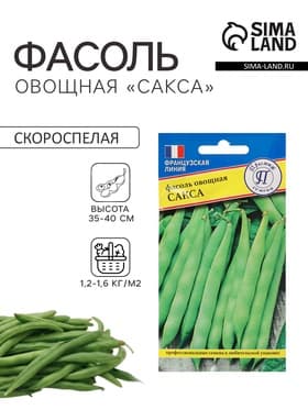 Семена Фасоль овощная «Сакса без волокна 615», 5 г, «Престиж семена»