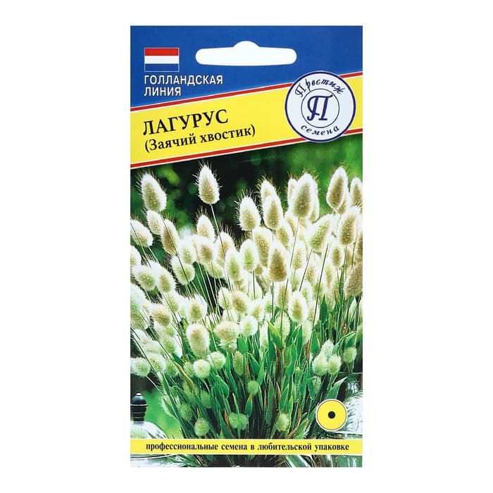 Семена цветов Лагурус «заячий хвостик», однолетник, 10 шт.