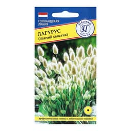 Семена цветов Лагурус «заячий хвостик», однолетник, 10 шт.