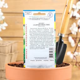 Семена цветов Лагурус «заячий хвостик», однолетник, 10 шт.