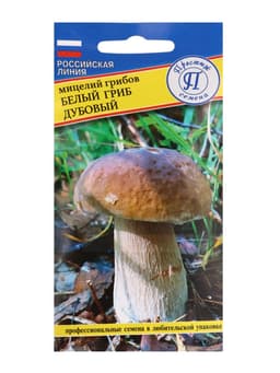 Мицелий Белый гриб дубовый, 50 мл, «Престиж семена»