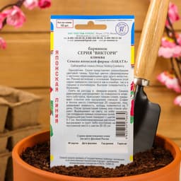 Семена цветов Барвинок "Виктори" Клюква, О, 10 шт