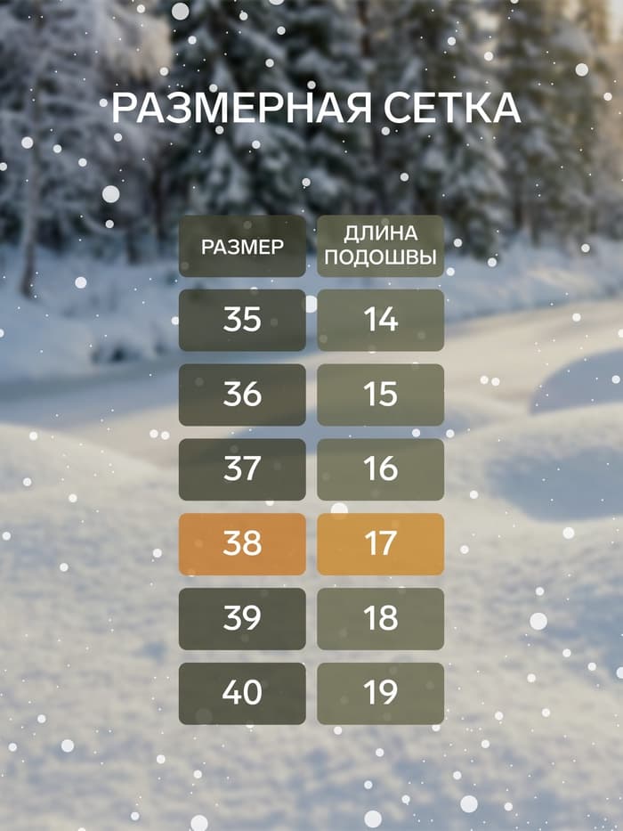 Валенки женские, размер 38 (26 см)