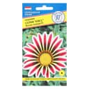 Семена цветов Гацания «Кисс» F1 Белое пламя, для балкона, веранды, цветника, однолетник, низкорослая, 5 шт.