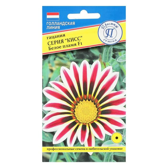 Семена цветов Гацания «Кисс» F1 Белое пламя, для балкона, веранды, цветника, однолетник, низкорослая, 5 шт.