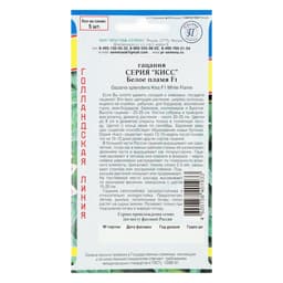 Семена цветов Гацания «Кисс» F1 Белое пламя, для балкона, веранды, цветника, однолетник, низкорослая, 5 шт.