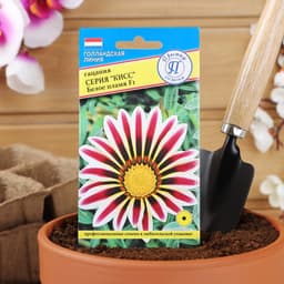 Семена цветов Гацания «Кисс» F1 Белое пламя, для балкона, веранды, цветника, однолетник, низкорослая, 5 шт.