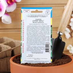 Семена цветов Гацания «Кисс» F1 Белое пламя, для балкона, веранды, цветника, однолетник, низкорослая, 5 шт.