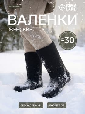 Валенки женские, размер 38 (26), чёрные