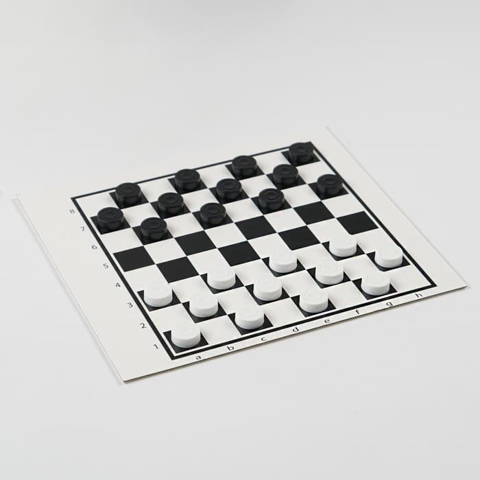 Шашки Десятое Королевство «Русские и международные», поле 20×20 см