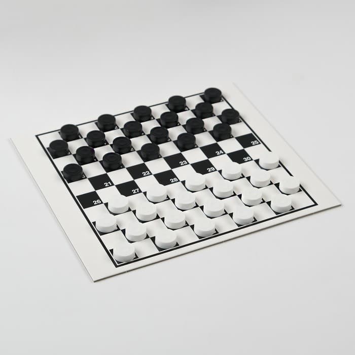 Шашки Десятое Королевство «Русские и международные», поле 20×20 см