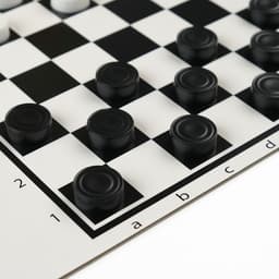 Шашки Десятое Королевство «Русские и международные», поле 20×20 см