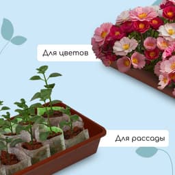 Ящик для рассады, 53×21.5×7.2 см, 7.5 л, пластик, МИКС